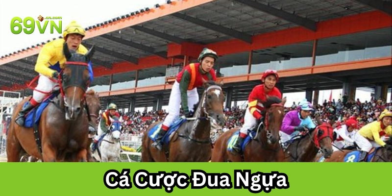 Chơi cược đua ngựa có khó không?